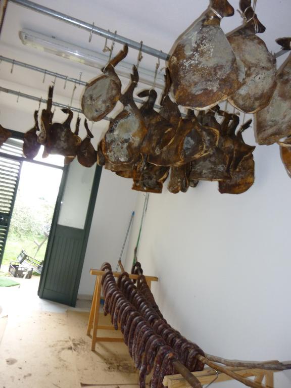 Agriturismo Ticci Seulo ภายนอก รูปภาพ