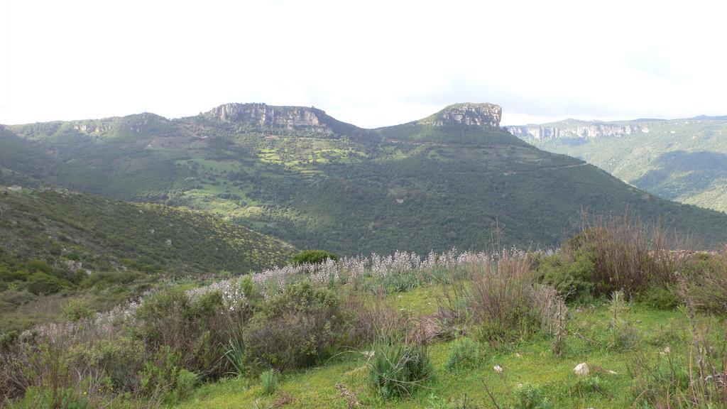 Agriturismo Ticci Seulo ภายนอก รูปภาพ