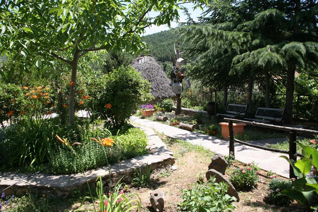 Agriturismo Ticci Seulo ภายนอก รูปภาพ