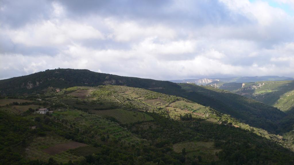 Agriturismo Ticci Seulo ภายนอก รูปภาพ