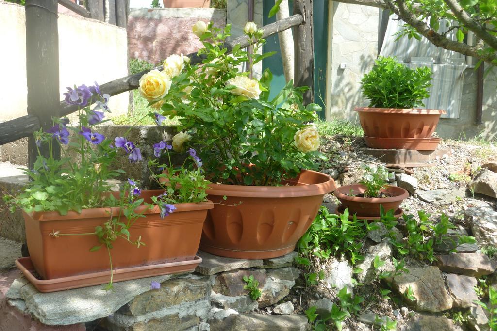 Agriturismo Ticci Seulo ห้อง รูปภาพ