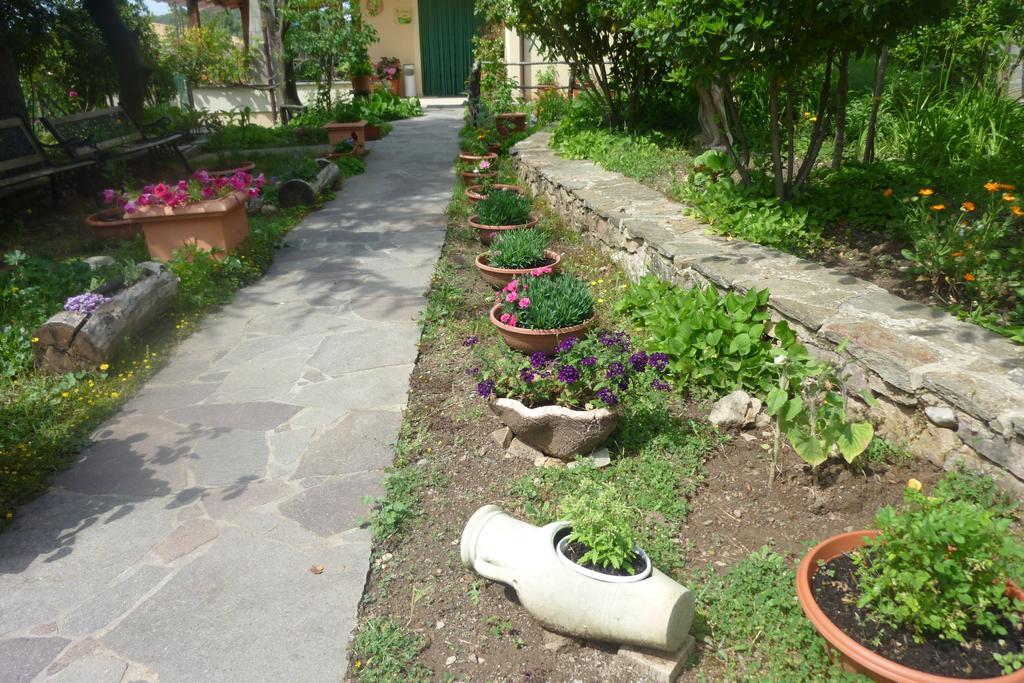 Agriturismo Ticci Seulo ภายนอก รูปภาพ